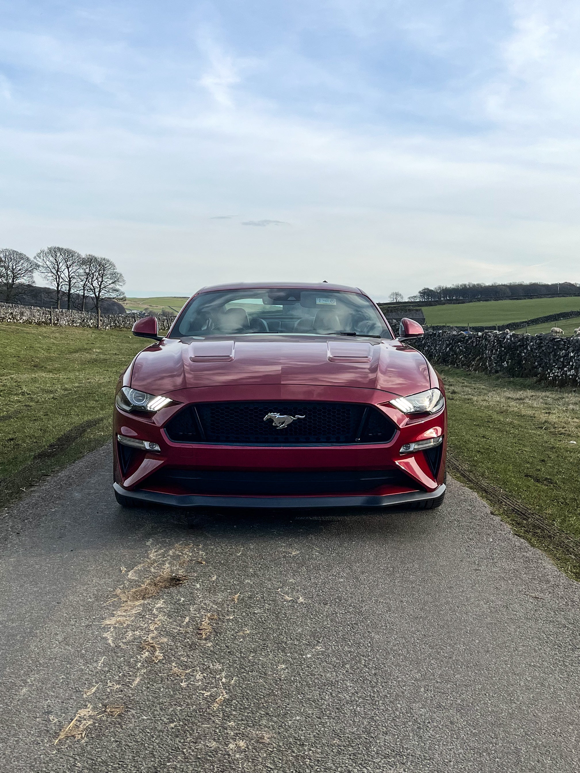Red Ford Mustang parked on scenic countryside road, representing the Spitfire Collection lifestyle of clean cars, open roads, and premium car care